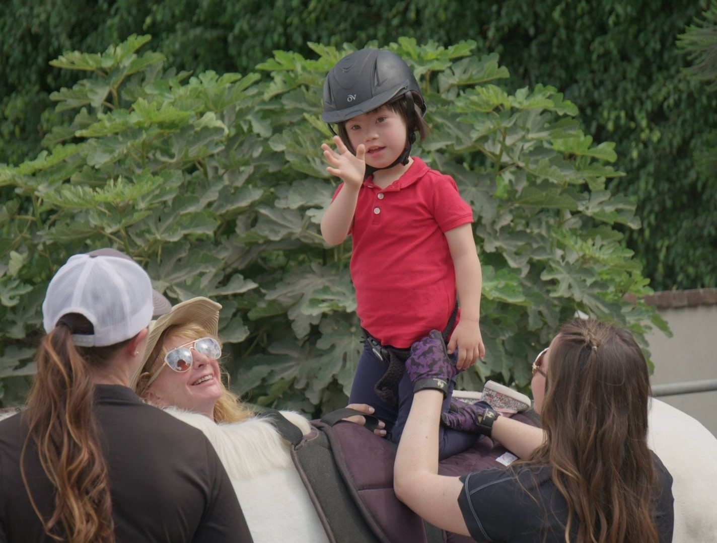 Hippotherapy Manes For Movement